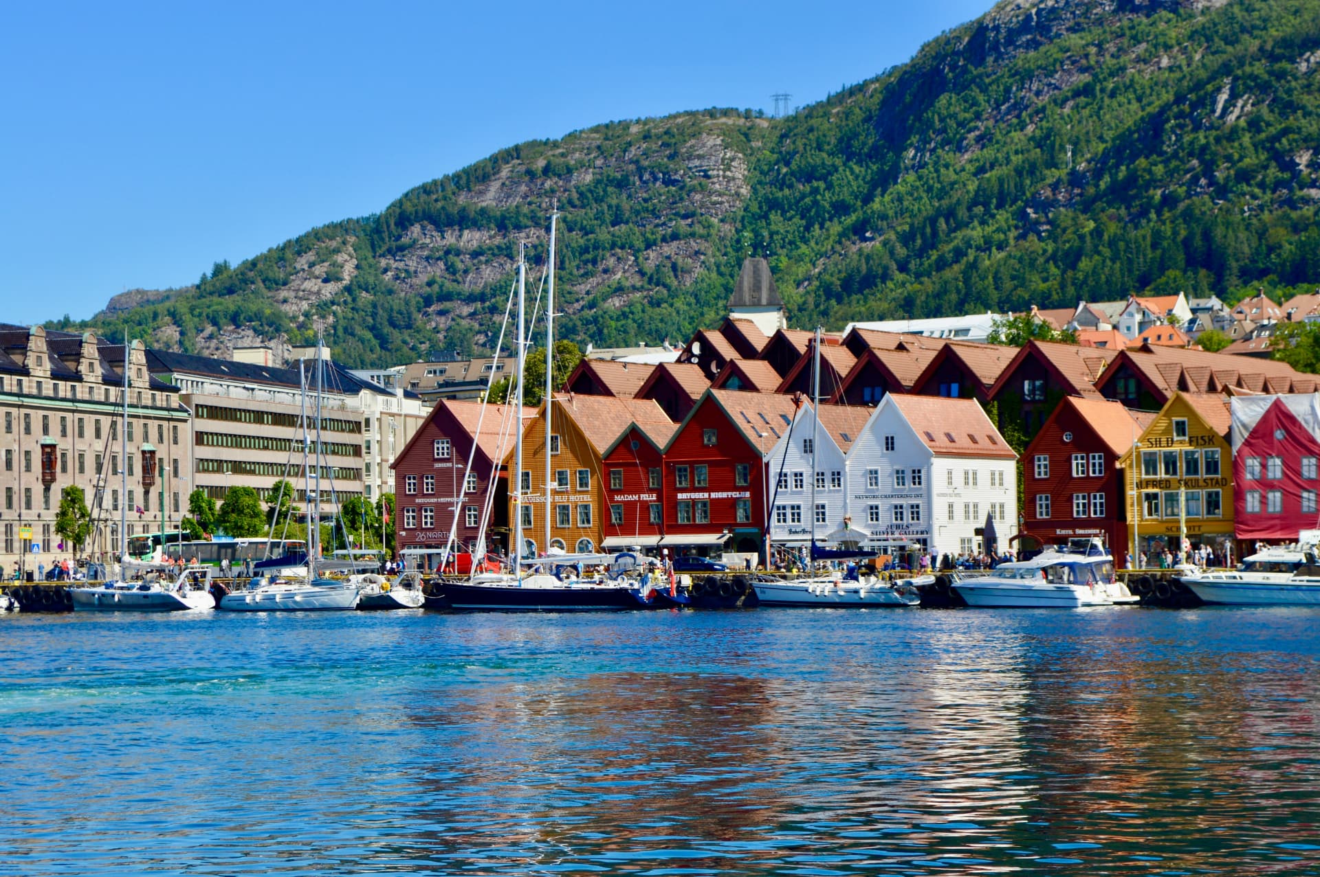 Bryggen i Bergen sett fra sjøen en klar sommerdag
